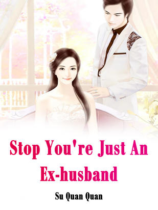Stop! You're Just An Ex-husband